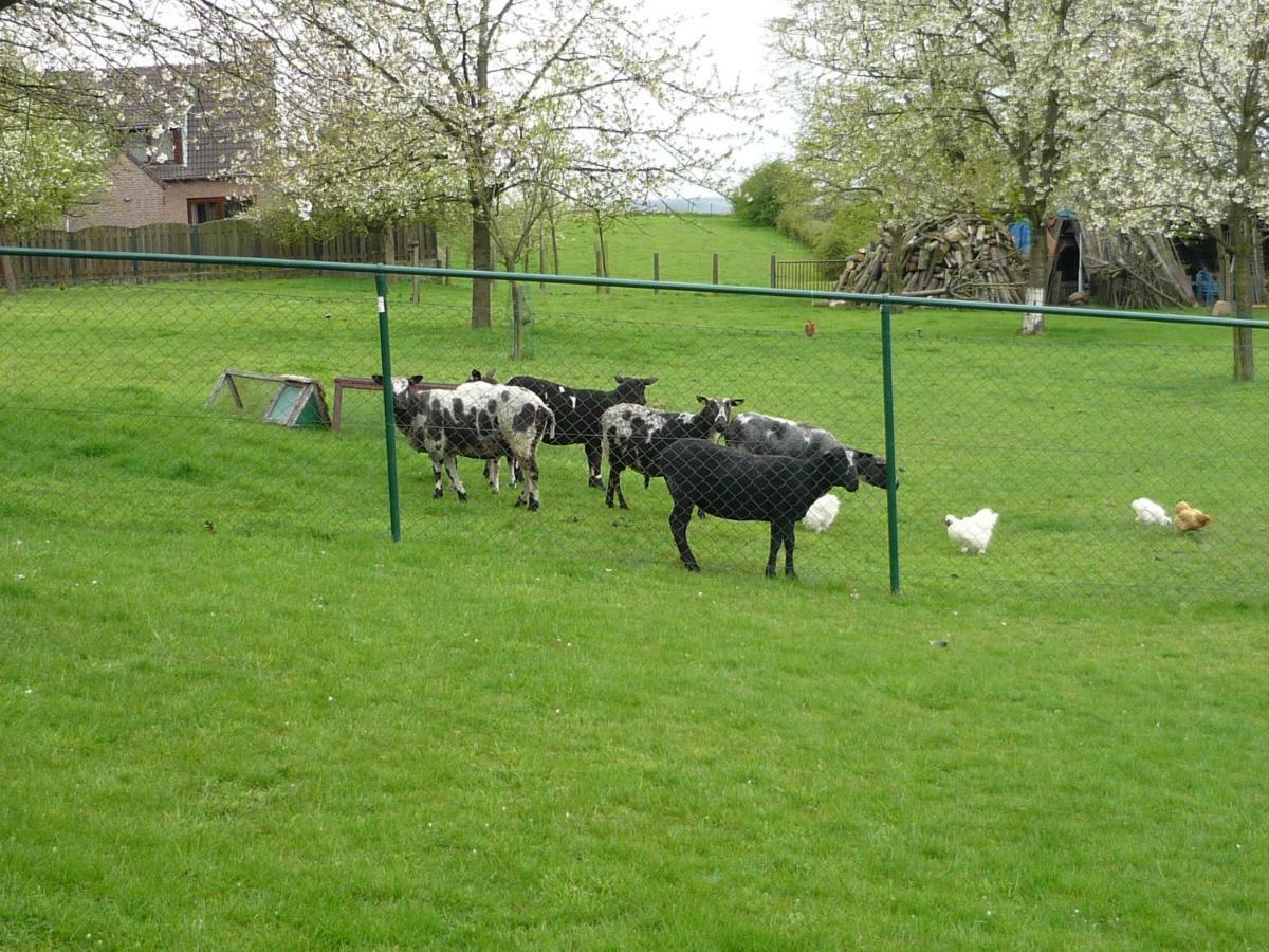 Hoeve Mingels Banholt Kültér fotó