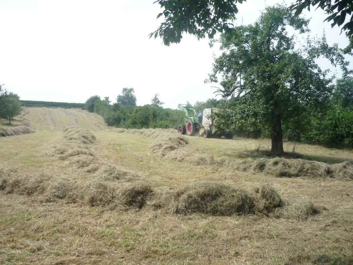 Hoeve Mingels Banholt Kültér fotó